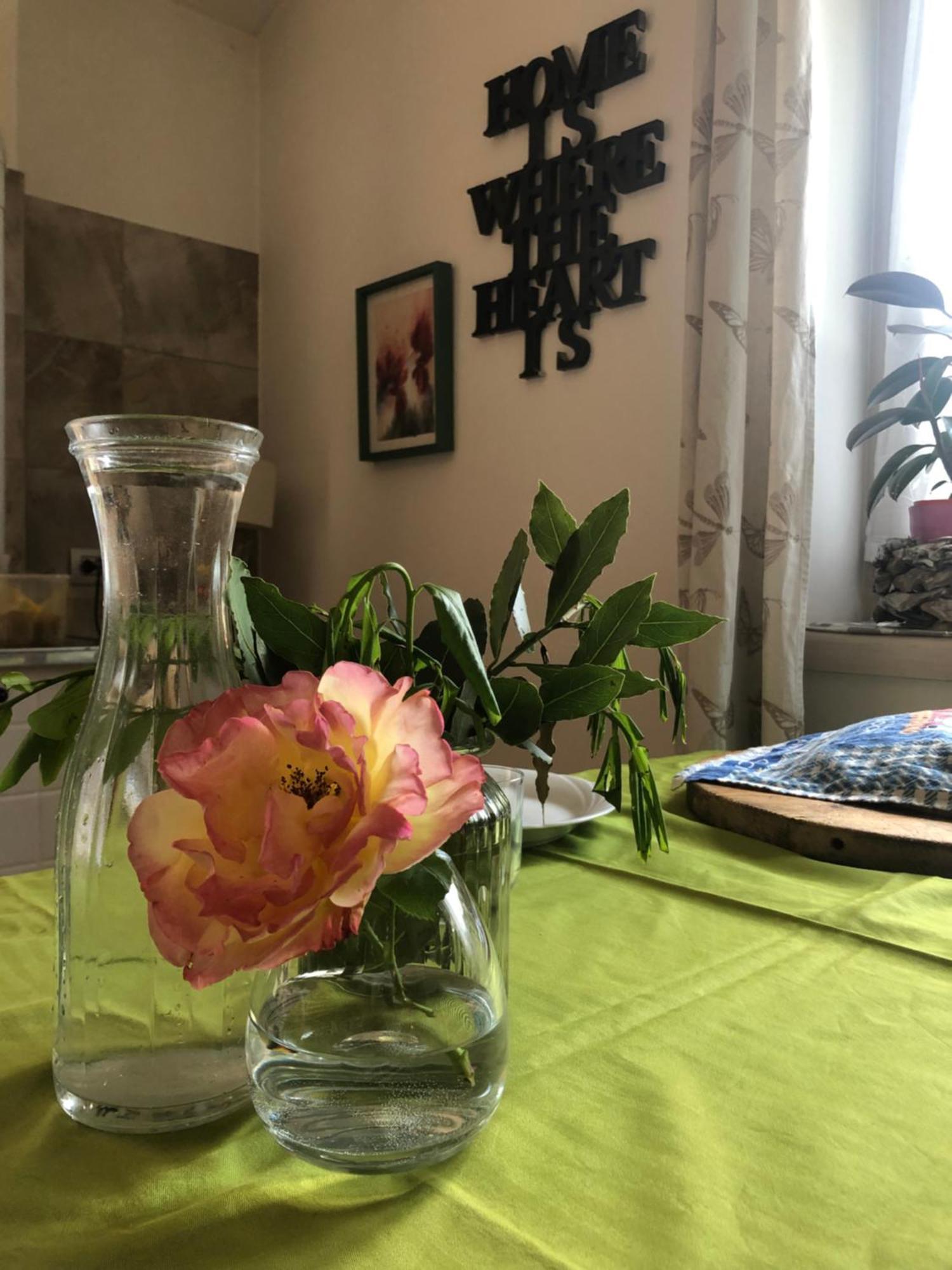 Homestay Haus Senter